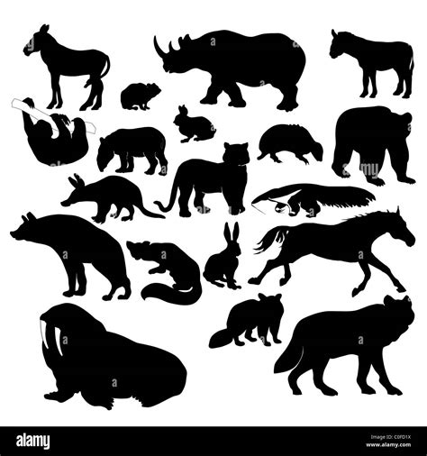 Silhouettes of wildlife animals Stock Photo - Alamy