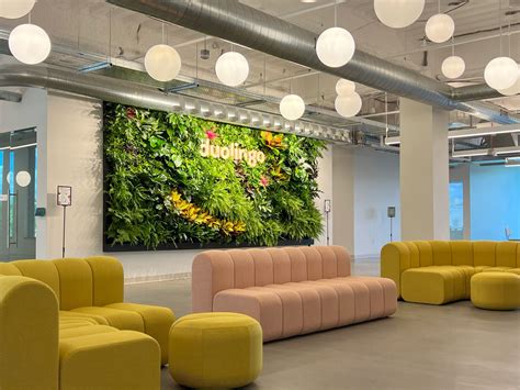 Commerical — Urban Blooms