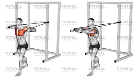 Band Standing Chest Press: Exercise Guide, Video, Techniques, Benefits ...