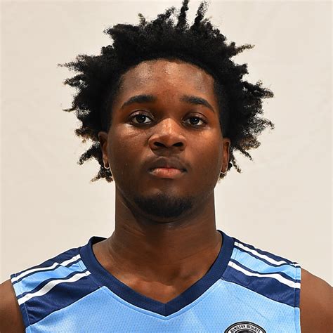 Basketball Game Preview: Hamilton Heights Christian Academy Hawks vs ...