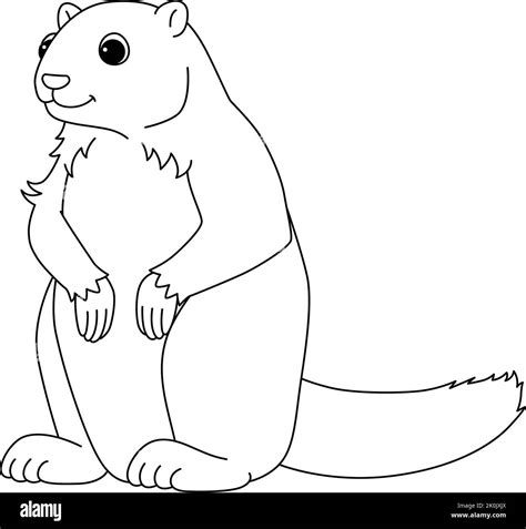 Yellow Bellied Marmot Coloring Pages [2025]