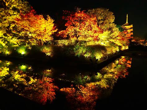 【中秋月夜摄影图片】自家阳台纪实摄影_AYAN影吧_太平洋电脑网摄影部落