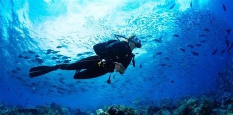 Natural Underwater Arch Discovered Near Rushikonda Beach In Vizag