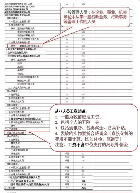 《从业人员及工资总额》报表填报指南_单位