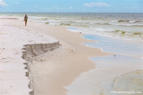 Image result for Shell Hunting Shell Island Panama