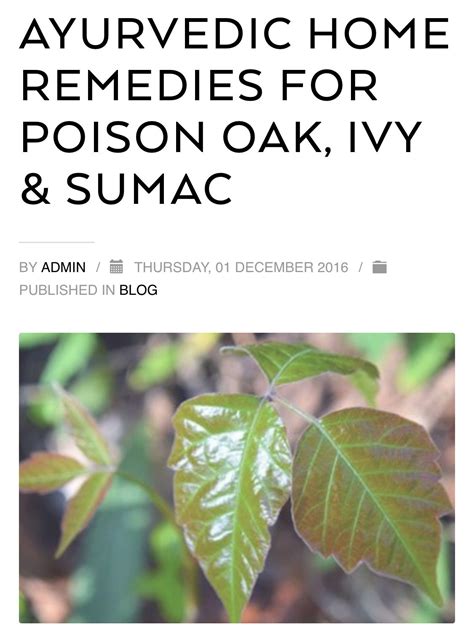 Poison Sumac Treatment