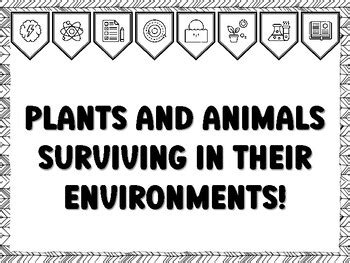 PLANTS AND ANIMALS SURVIVING IN THEIR ENVIRONMENTS! Grade 4 And 5 ...