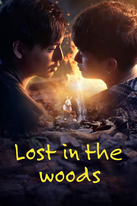 Lost in the Woods (TV Series 2025-2025) - Posters — The Movie Database ...