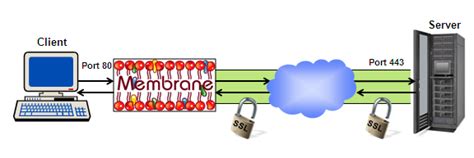 Image result for SSL Client/Server