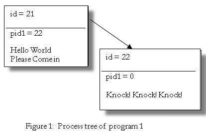 Parent Process Tree 的图像结果