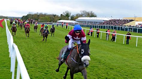 Valseur Lido won the Growise Champion Novice Chase | Racing News | Sky ...