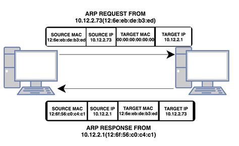 How Does ARP(Address Resolution Protocol) Work?