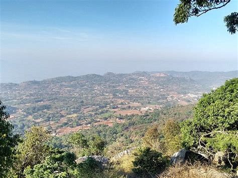 𝗧𝗛𝗘 𝟭𝟬 𝗕𝗘𝗦𝗧 Hotels in Yelagiri of 2026 (from ₹ 1,000)