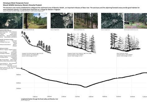 Decoding the Forest - Manali wildlife Sanctuary | CEPT - Portfolio