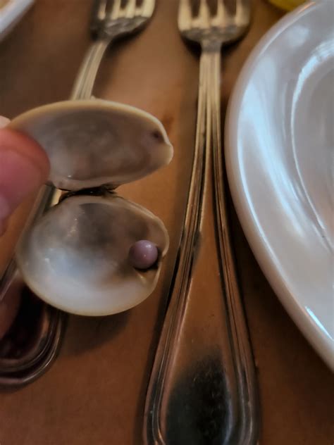 Do Clams Have Pearls