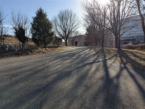 Norwalk photos: Oyster Shell Park | Nancy on Norwalk