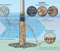 Image result for Offshore Wind Farm System Diagram