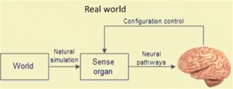 Define Virtual Reality 的图像结果