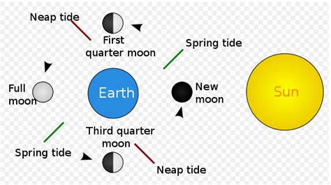 Image result for Writing a Transcript