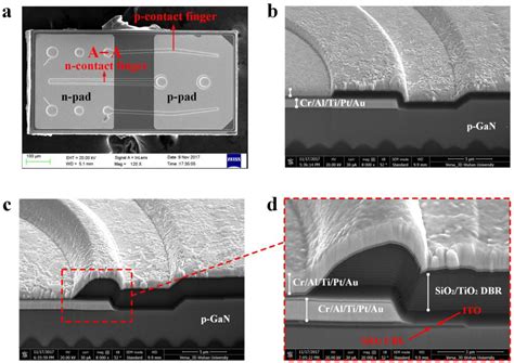 Effect of Dielectric Distributed Bragg Reflector on Electrical and ...