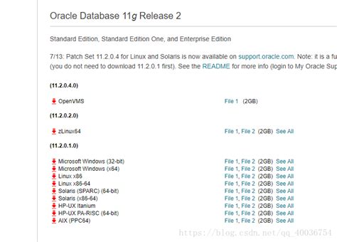 Oracle 11g图文下载安装教程(一步一图)_oracle11g安装包下载-CSDN博客