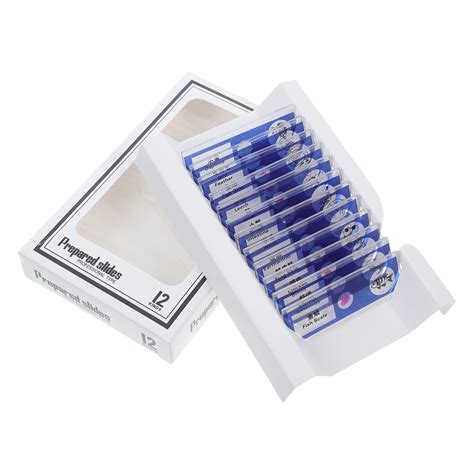Biological Sample Sections Microscope Biology Prepared Slides Plastic ...