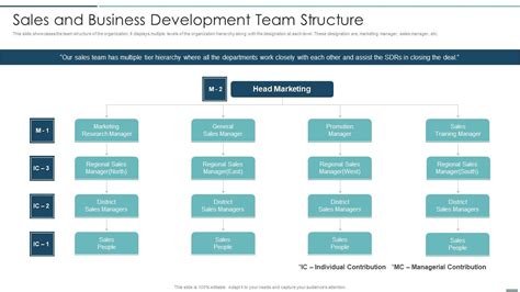 Business Development Structure 的图像结果