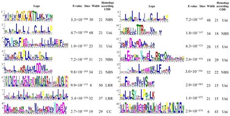 Analysis of R Genes Related to Blackcurrant Reversion Virus Resistance ...