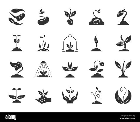 Sprouting Plant Monochrome