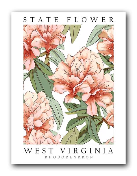 State Flower West Virginia