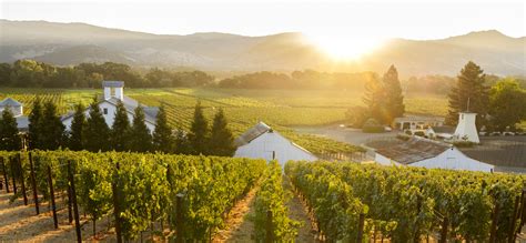 Peju Winery – Napa Green