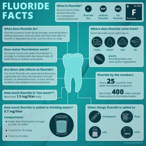 Fluoride | Definition, Uses, Sources, Biological Effects, Tooth Decay ...