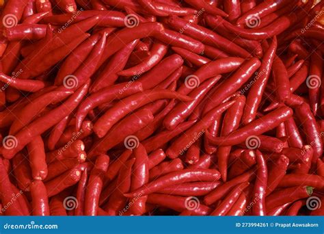Background of Many Chili Spur Peppers without Green Stem, Top View of ...