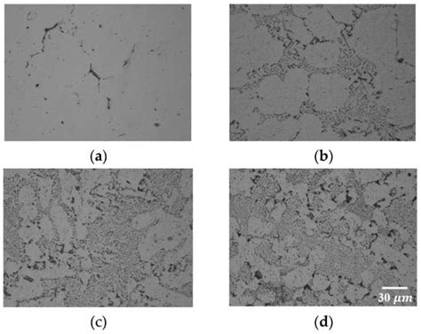 Mechanical Properties and Deformation Behavior of Open-Cell Type ...