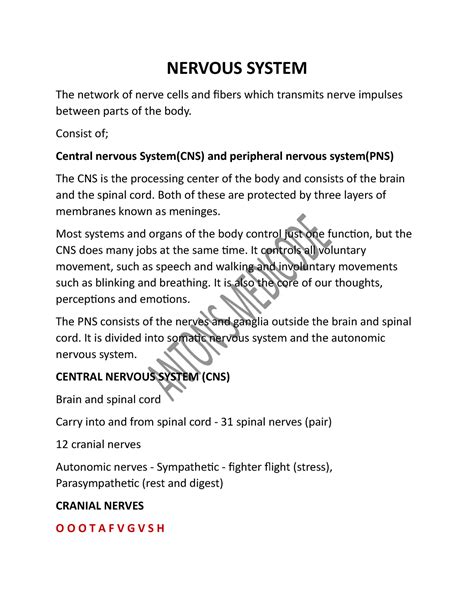 Nervous System - NERVOUS SYSTEM The network of nerve cells and fibers ...