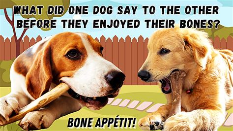 That’s #PUN-ny: Dog Jokes & Puns – J.M. NORTHUP