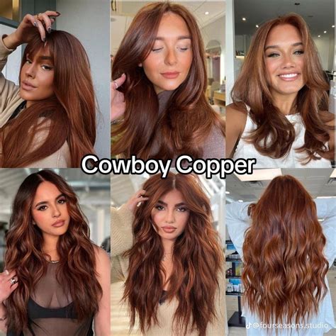 Pin by kelly daiuto on Hair in 2025 | Ginger hair color, Hair color auburn, Hair inspiration