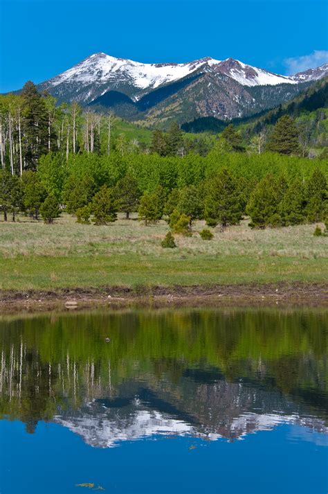 Elevation of Lynx Ln, Flagstaff, AZ, USA - Topographic Map - Altitude Map