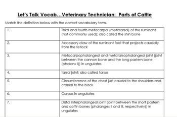 Let's Talk Vocab...Veterinary Technician: Parts of Cattle (Animal Science)