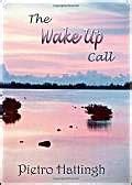 The Wake up Call : Hattingh, Pietro: Amazon.in: Books