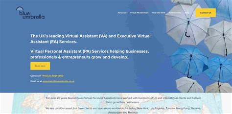 Image result for Virtual Assistant Ai Examples