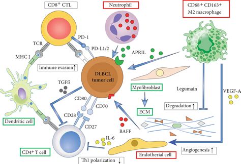 More accurate prognostic prediction in diffuse large B-cell lymphoma: beyond cell-of-origin ...