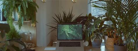 Image result for Pert Formula