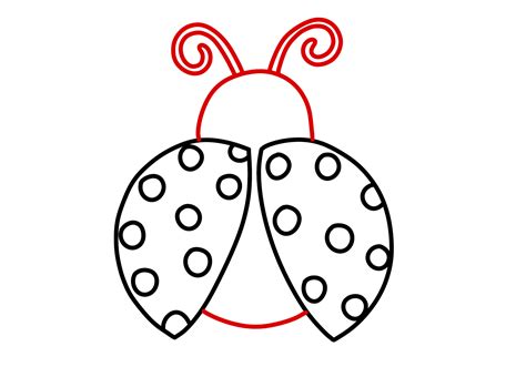 How To Draw Ladybug