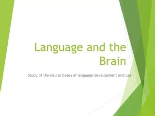 Language Brain 的图像结果