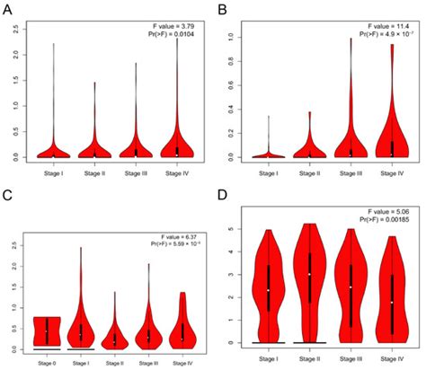 Comprehensive Analysis of DMRT3 as a Potential Biomarker Associated ...