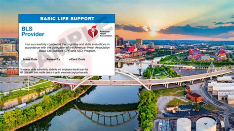 CPR Test Questions: All You Need To Know