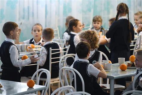 В России предложили дать детям из многодетных семей 50-процентную ...