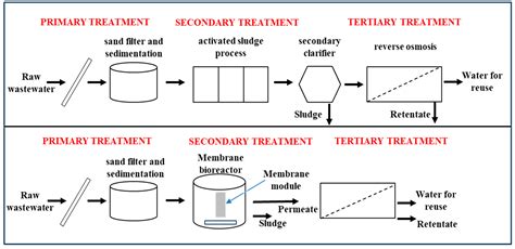 Microplastics in Wastewater Treatment Plants: Characteristics ...