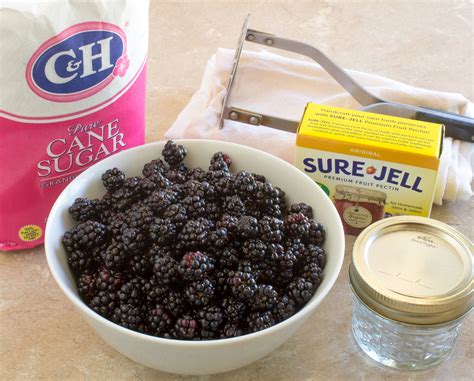 Sure Jell Low Sugar Blackberry Jam Recipe | Bryont Blog